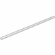GM 30021356 Drip Molding, Passenger Side