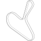 GM 55512900 Serpentine Belt