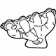 GM 12560194 Exhaust Manifold, Driver Side