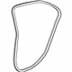 GM 25911999 Weatherstrip On Body, Driver Side