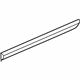 GM 19120340 Body Side Molding, Rear Passenger Side