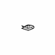 GM 11561871 Lower Cover Retainer Nut