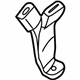 GM 88893356 Buckle, Oak, Rear Center