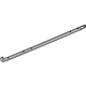 GM 22820148 Lower Weatherstrip