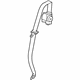 GM 19208907 Lap & Shoulder Belt, Rear Center