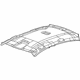 GM 19328956 Headliner, Titanium