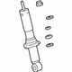 GM 20931004 Shock Absorber