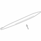 GM 84087268 Rocker Molding, Passenger Side