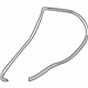 GM 96462695 Surround Weatherstrip, Black