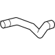GM 84557788 Lower Hose