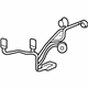 GM 25809079 Socket & Wire