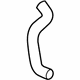 GM 19130236 Lower Hose