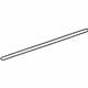 GM 88979189 Trim Molding