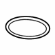 GM 19420816 Fuel Pump Assembly Seal