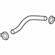 GM 22884202 Lower Hose