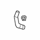 GM 84435790 Outlet Hose, Lower Passenger Side
