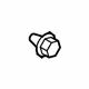 GM 92138814 Carpet Retainer