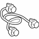 GM 22862122 Socket & Wire