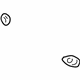 GM 24576511 Converter & Pipe Gasket