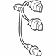 GM 19204787 Socket & Wire