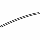GM 23131176 Air Deflector Retainer Strip