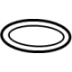 GM 25195777 Filter Cover Seal