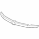 GM 19120528 Molding, Front