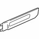 GM 15001169 Side Molding, Outer Driver Side