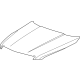 GM 84879189 Hood