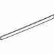 GM 10347955 Body Side Molding, Front Passenger Side