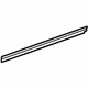 GM 22773046 Belt Weatherstrip, Rear Passenger Side