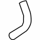 GM 84033774 Filler Hose