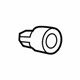 GM 13324646 Backup Lamp Assembly Nut