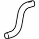 GM 23125841 Lower Hose