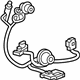 GM 23263505 Socket & Wire
