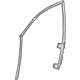 GM 23480494 Run Weatherstrip, Front Driver Side
