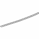 GM 42520955 Applique Panel Insulator, Rear Center