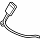 GM 19181814 Buckle, Titanium, Passenger Side