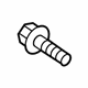 GM 19316115 Lower Hinge Bolt
