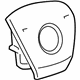 GM 25847287 Driver Air Bag