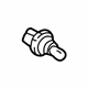 GM 19257055 Bulb & Socket