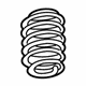 GM 23476248 Coil Spring, Rear