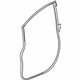 GM 42562283 Door Weatherstrip, Driver Side