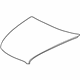 GM 25752373 Hood