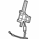 GM 13519007 Strap