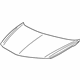 GM 10428995 Hood