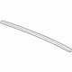 GM 15873223 Molding, Passenger Side