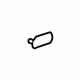 GM 15912852 Lock Pillar Trim Plug
