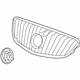 GM 20925291 Grille Assembly