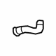 GM 96805200 Lower Hose